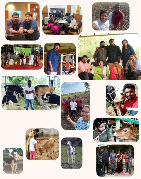 Paal Team Photo Collage